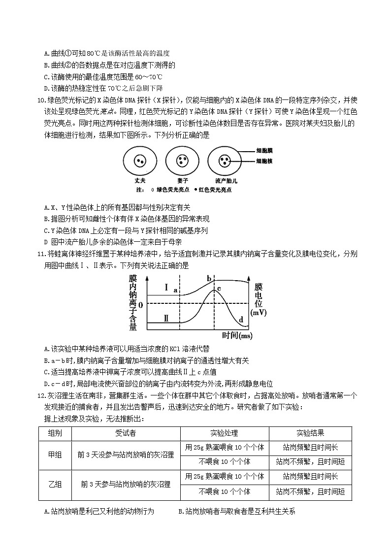 2020届山东省高三普通高等学校招生全国统一考试模拟卷生物试题第3页
