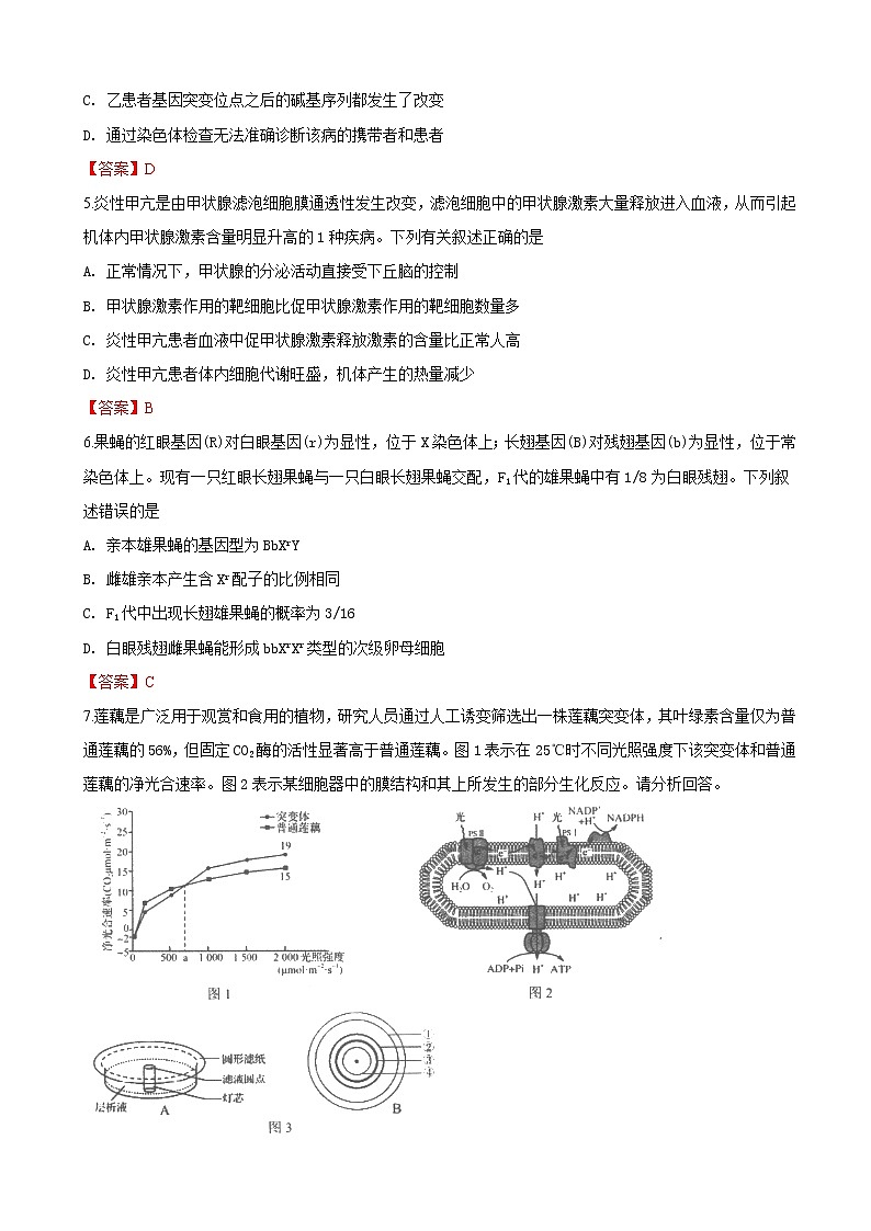 2019届天津市南开区高三下学期第一次模拟考试生物试卷（word版）02
