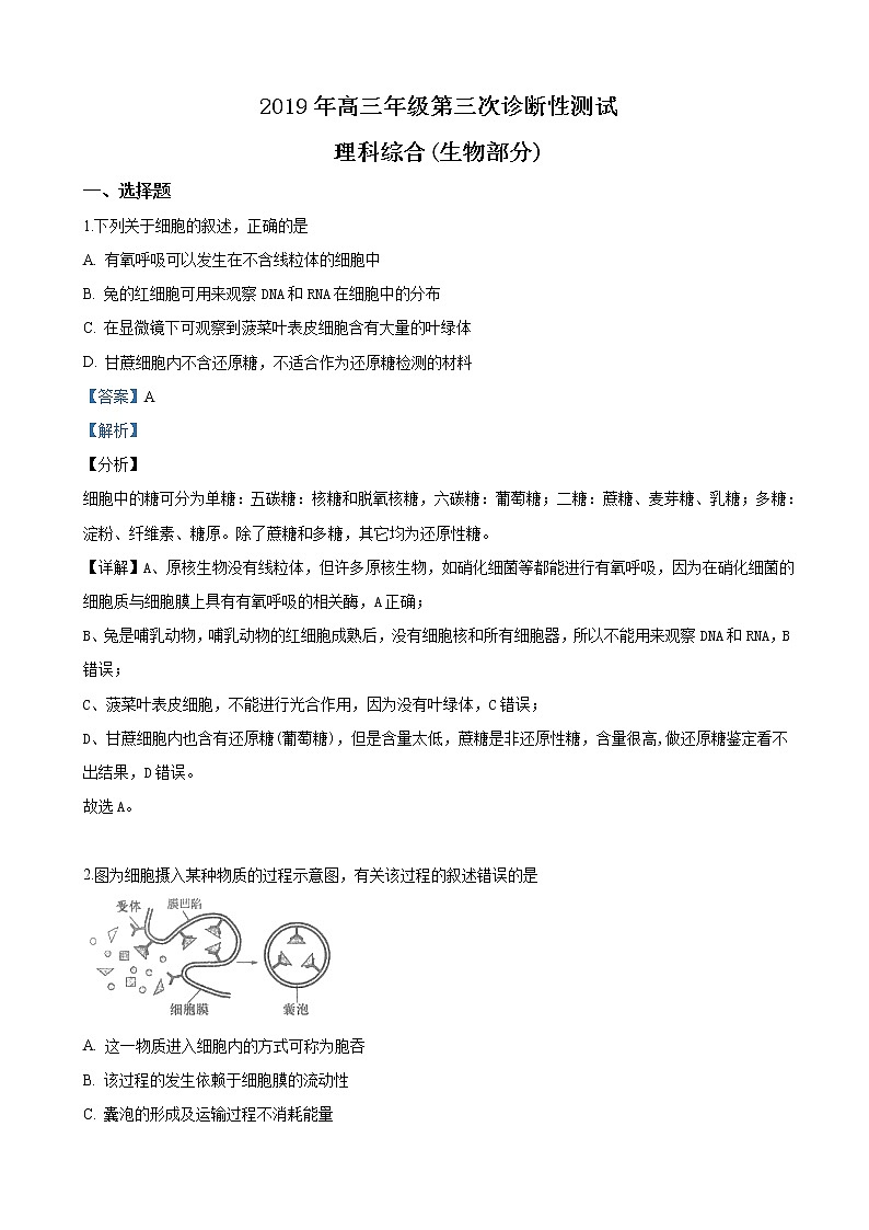 2019届新疆维吾尔自治区高三下学期第三次诊断性测试理科综合生物试卷（解析版）01