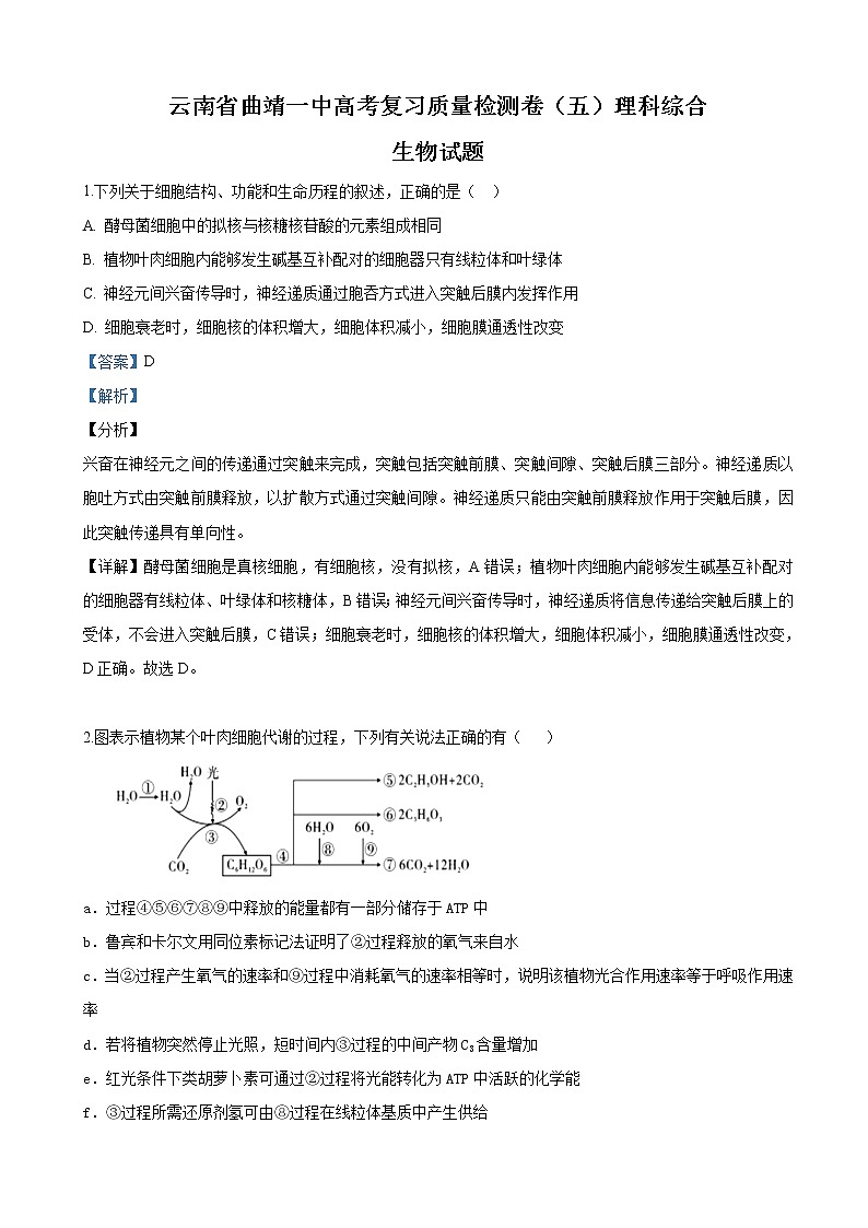 2019届云南省曲靖市曲靖一中高三第五次模拟理科综合生物试卷（解析版）01