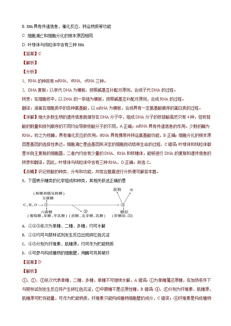 2019届云南省玉溪市一中高三上学期第二次调研考试生物试题（解析版）03