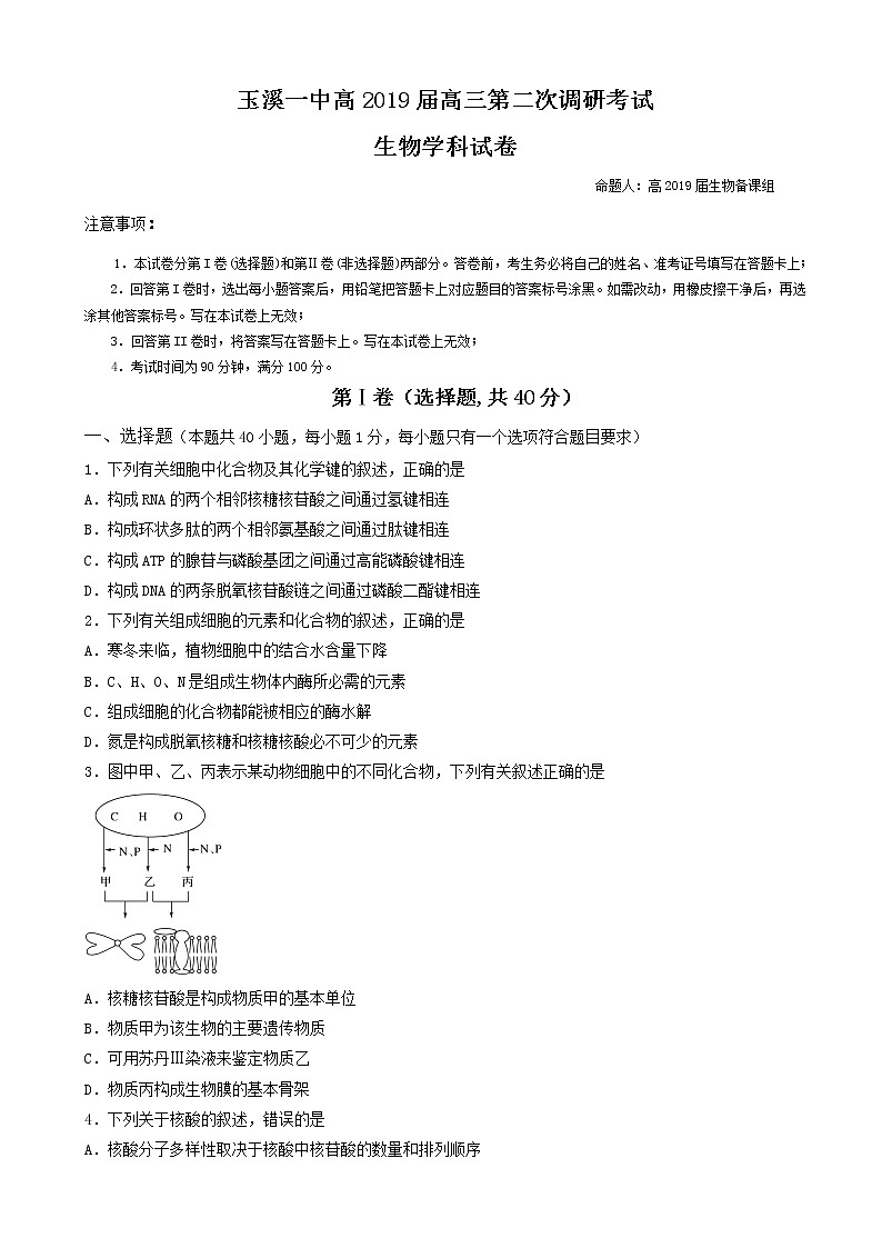 2019届云南省玉溪市一中高三上学期第二次调研考试生物试题01