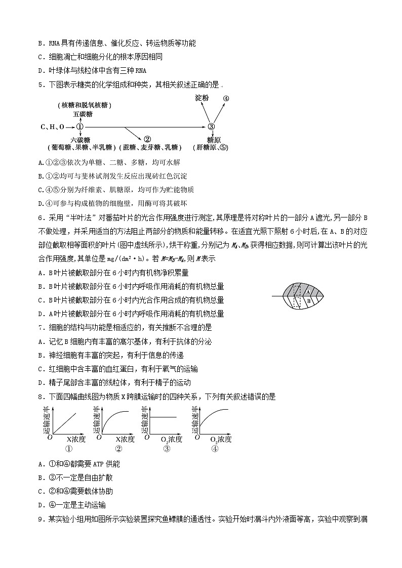 2019届云南省玉溪市一中高三上学期第二次调研考试生物试题02