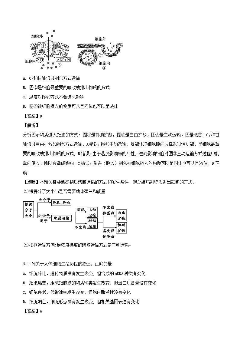 2019届浙江省杭州二中高三高考模拟（4月）生物试卷（解析版）第3页