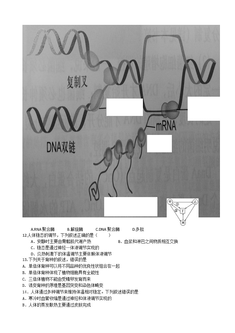 2019届浙江省杭州高三上学期生物模拟卷四第3页