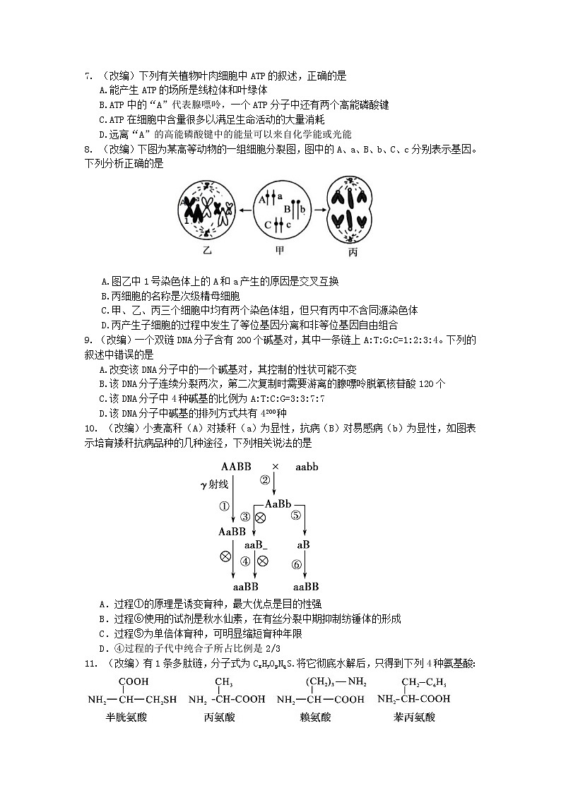 2019届浙江省杭州市高考命题比赛模拟（二十）生物试卷（word版）02