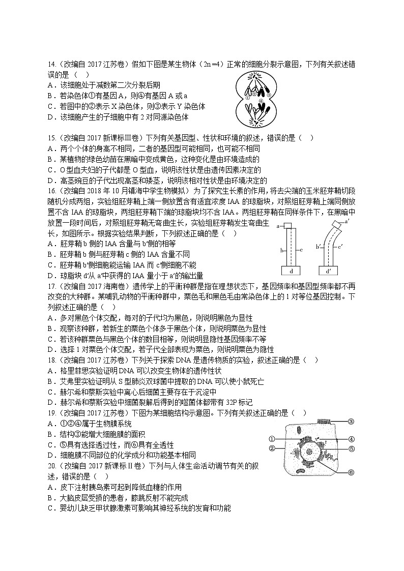 2019届浙江省杭州市高考命题比赛模拟（十五）生物试卷（word版）第3页