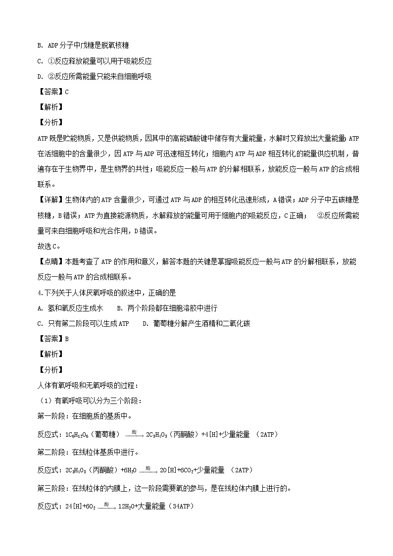 2019届浙江省杭州市高三上学期模拟卷生物试题（解析版）第2页