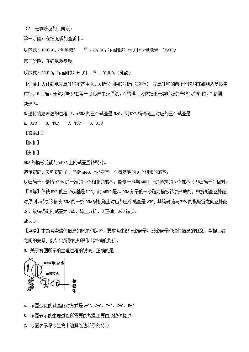 2019届浙江省杭州市高三上学期模拟卷生物试题（解析版）第3页