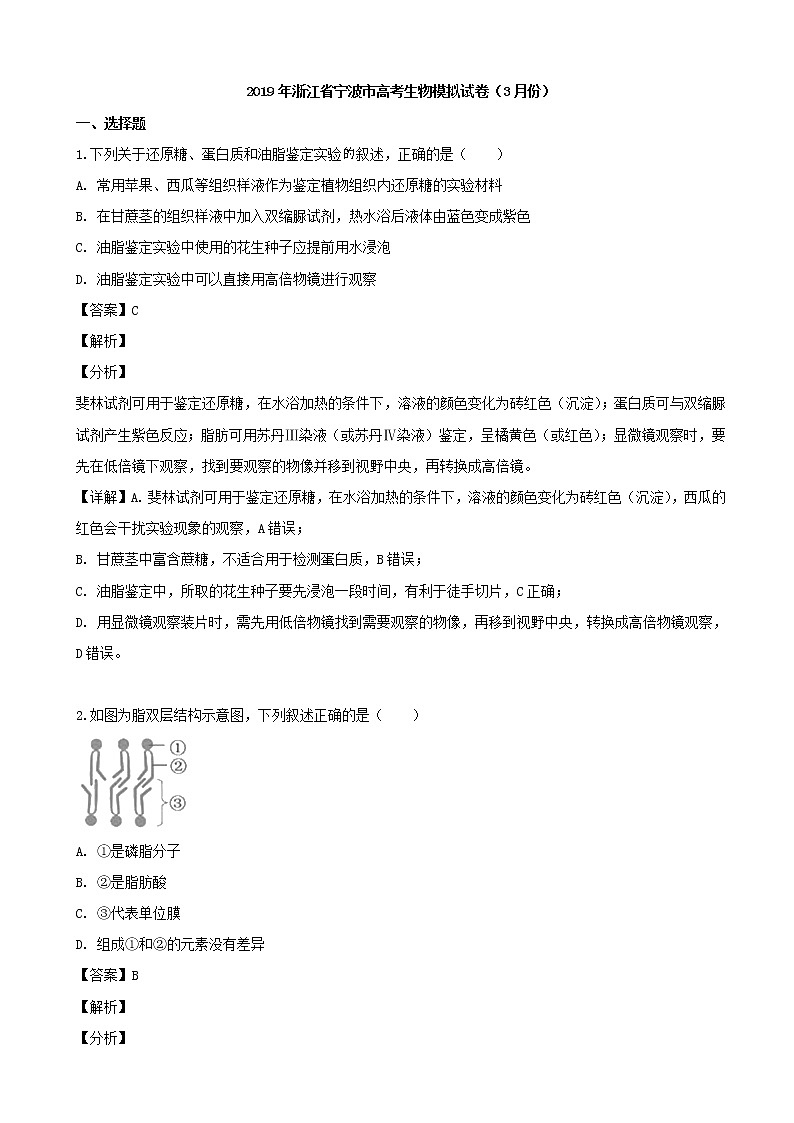 2019届浙江省宁波市高三（3月）模拟生物试题（解析版）第1页