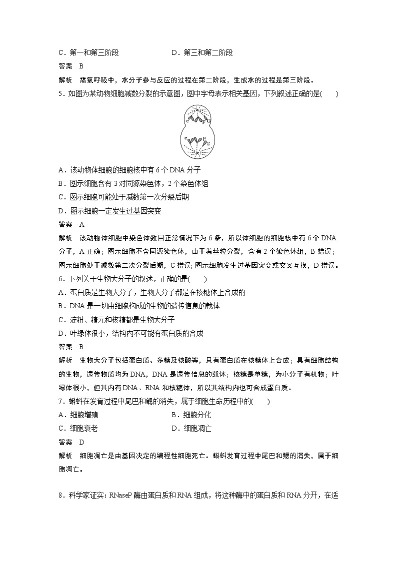 2019届浙江省新学考高三全真模拟卷（六）生物试题02