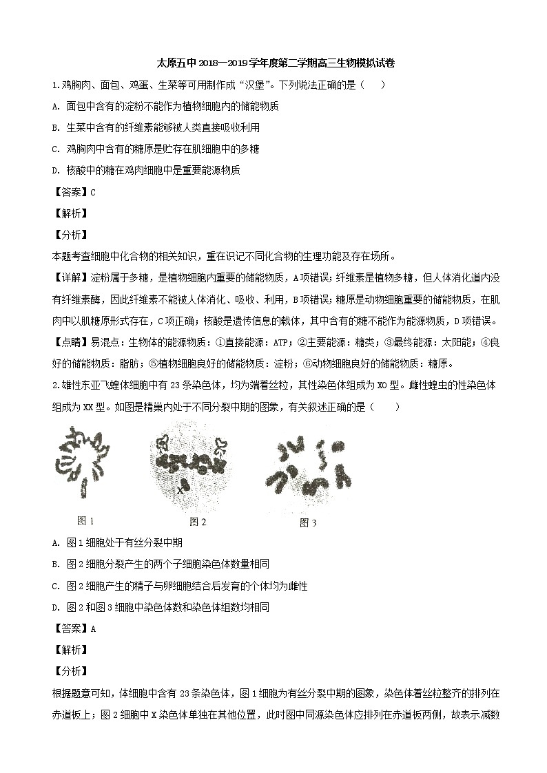 2019届山西省太原市第五中学高三下学期模拟试卷生物试题（解析版）01