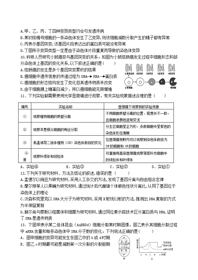 2019届陕西省宝鸡市宝鸡中学高三上学期模拟考试（二）（11月） 生物（B）03