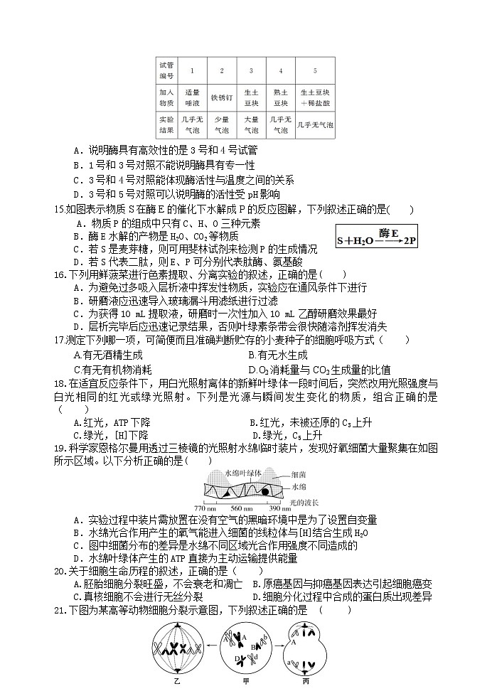 2019届陕西省宝鸡市宝鸡中学高三上学期模拟考试（一）（10月） 生物（A）（PDF版）03