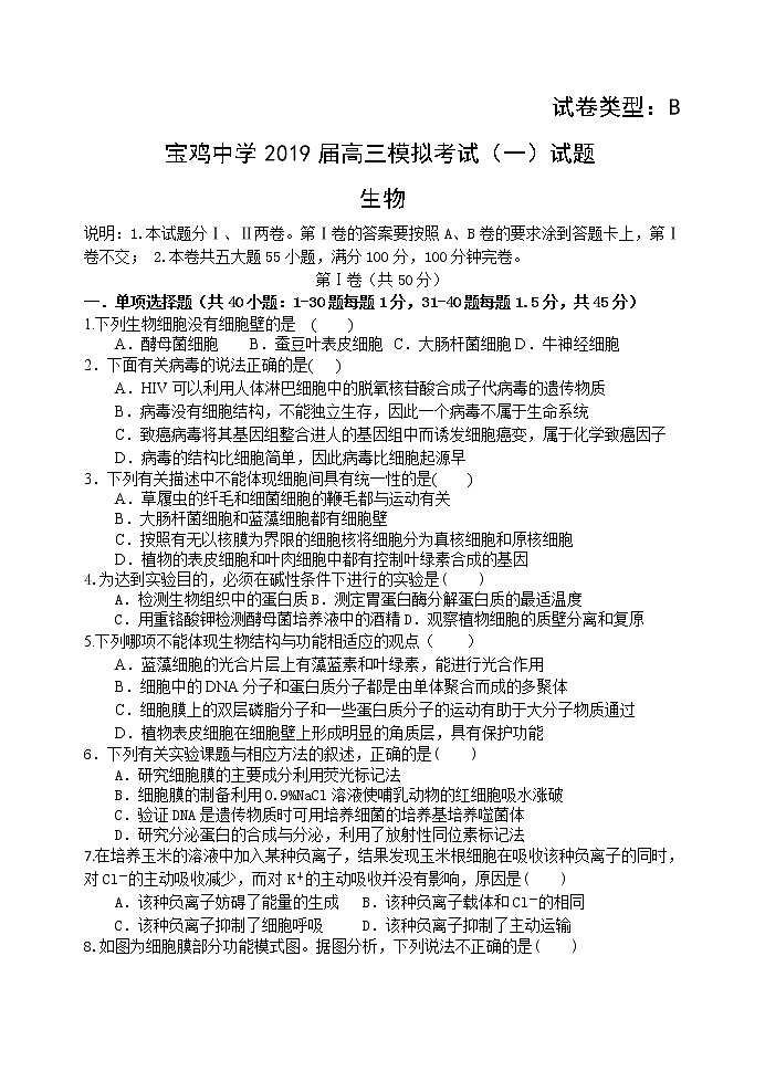 2019届陕西省宝鸡市宝鸡中学高三上学期模拟考试（一）（10月） 生物（B）（word版）01