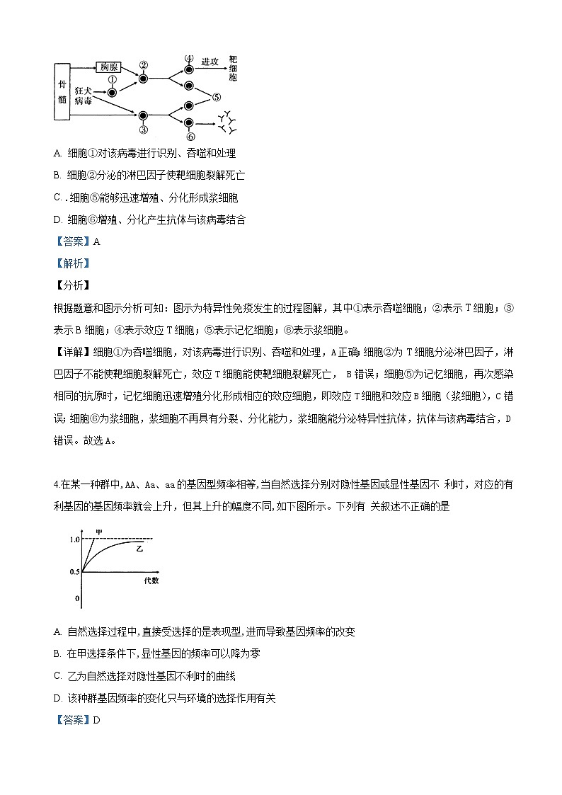 2019届陕西省宝鸡中学高三下学期第三次模拟考试理科综合生物试卷（解析版）03