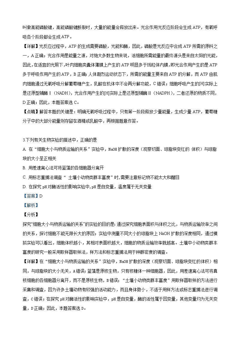 2019届陕西省高三下学期第三次教学质量检测生物试卷（解析版）第2页