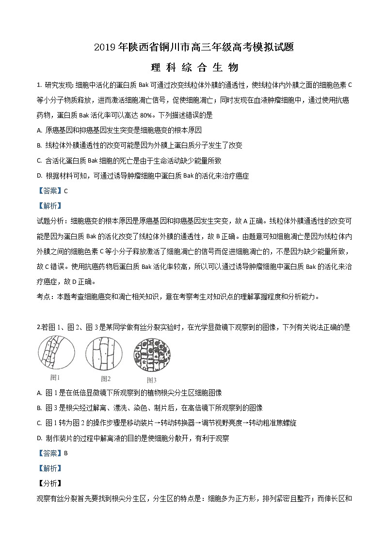 2019届陕西省铜川市高三高考模拟理科综合生物试卷（解析版）第1页