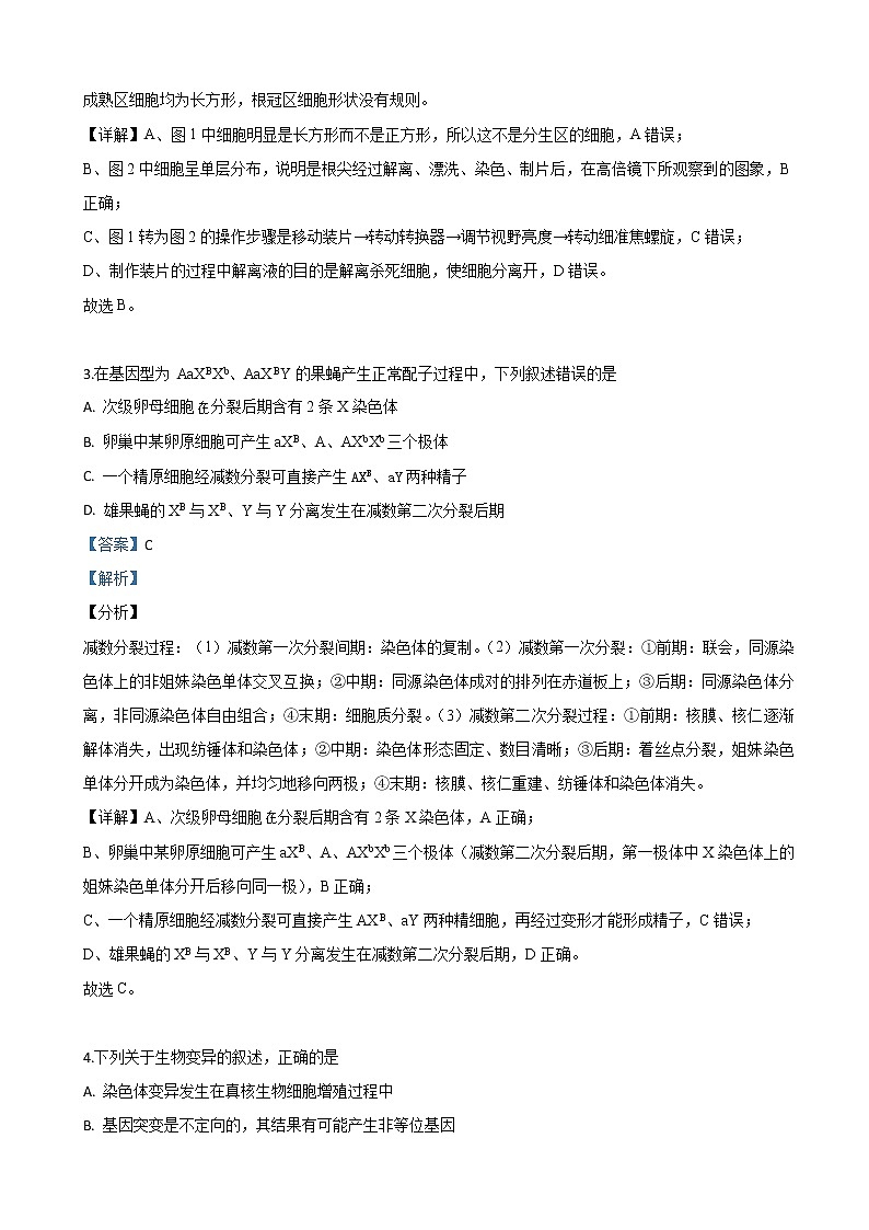 2019届陕西省铜川市高三高考模拟理科综合生物试卷（解析版）第2页