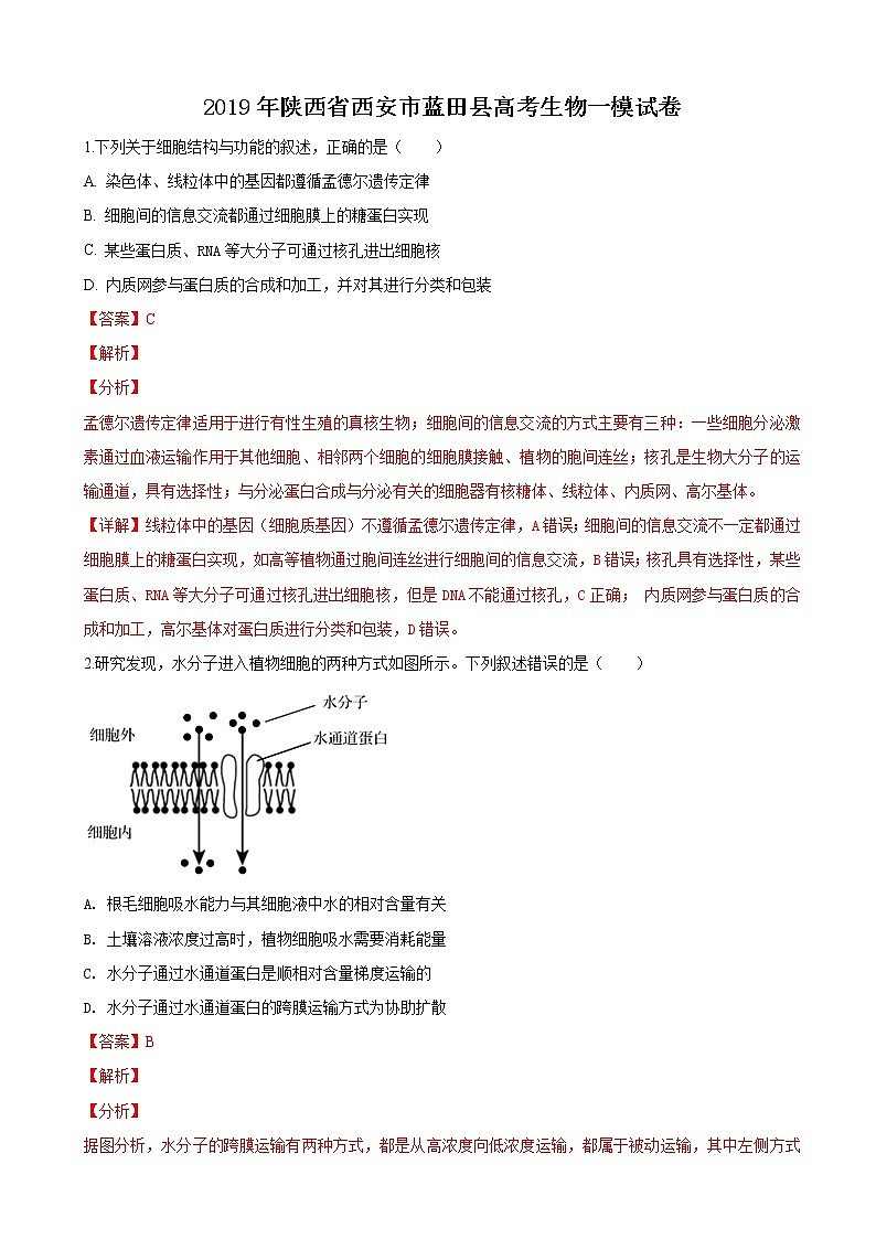 2019届陕西省西安市蓝田县高三下学期高考一模生物试卷（解析版）01