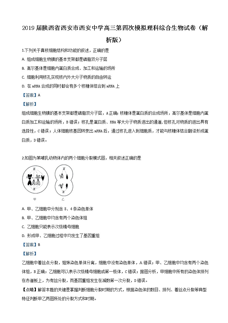 2019届陕西省西安市西安中学高三第四次模拟理科综合生物试卷（解析版）第1页