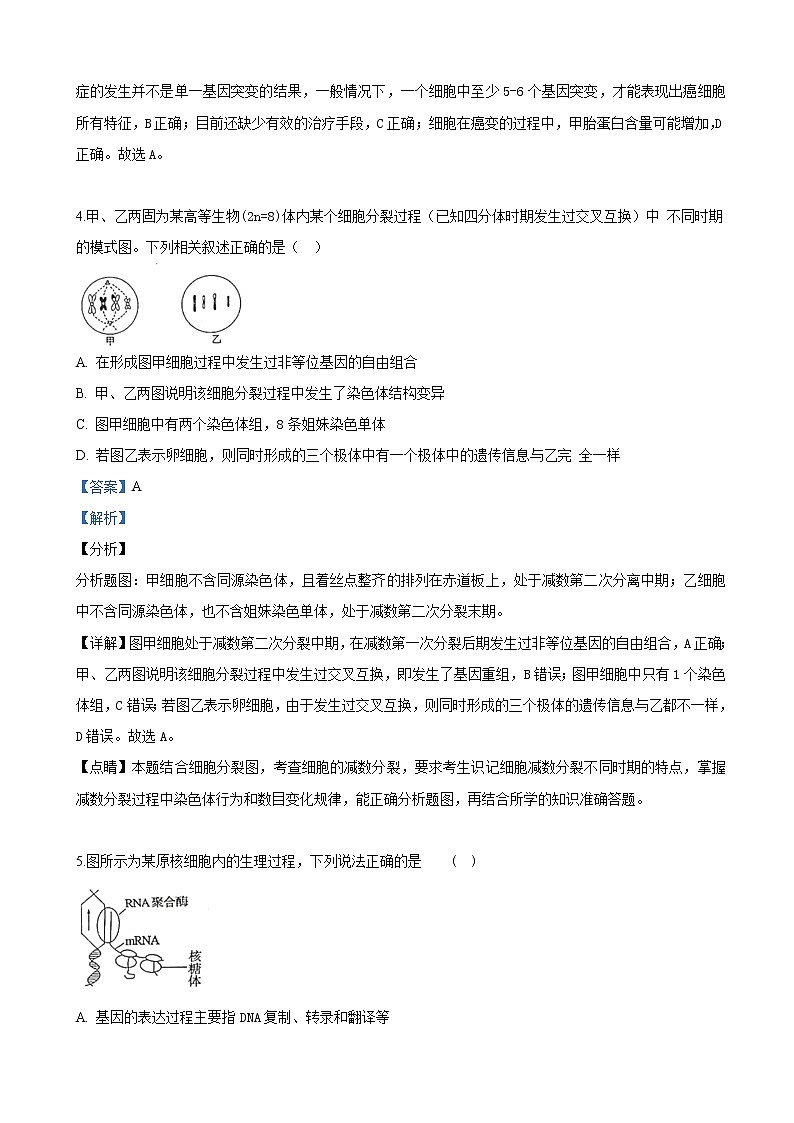 2019届陕西省榆林市高三下学期高考模拟第三次测试理科综合生物试卷（解析版）03