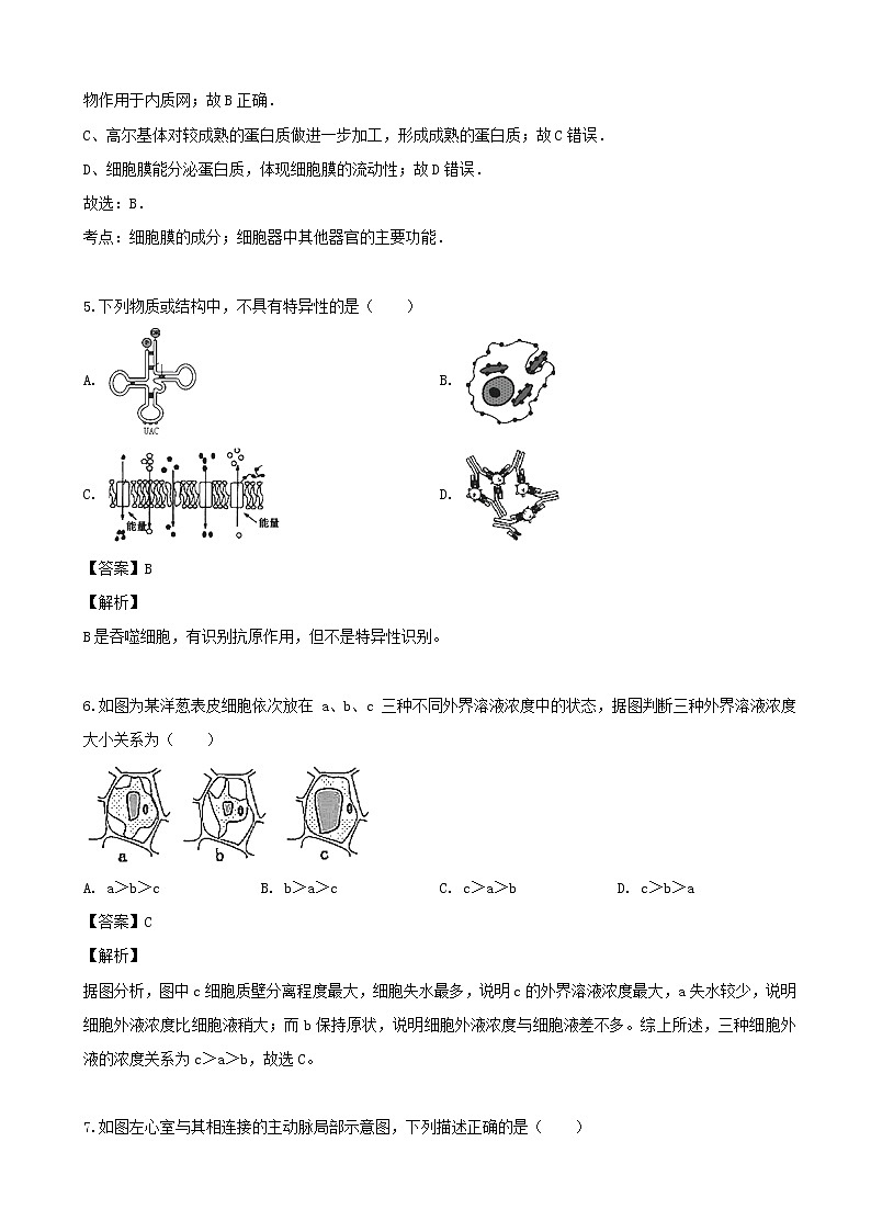 2019届上海市宝山区高三二模生物试题（解析版）03