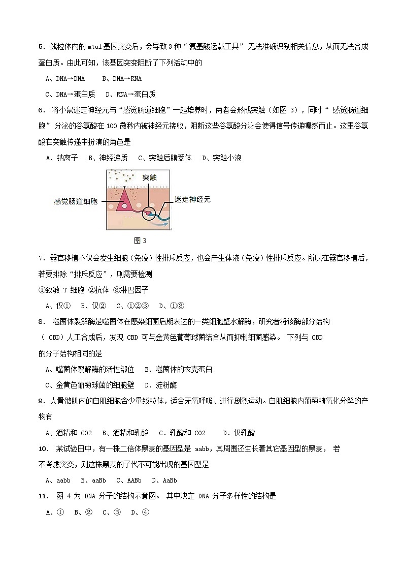 2019届上海市崇明区高三等级考第一次模拟生命科学试题（word版）02