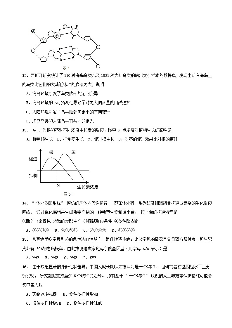 2019届上海市崇明区高三等级考第一次模拟生命科学试题（word版）03