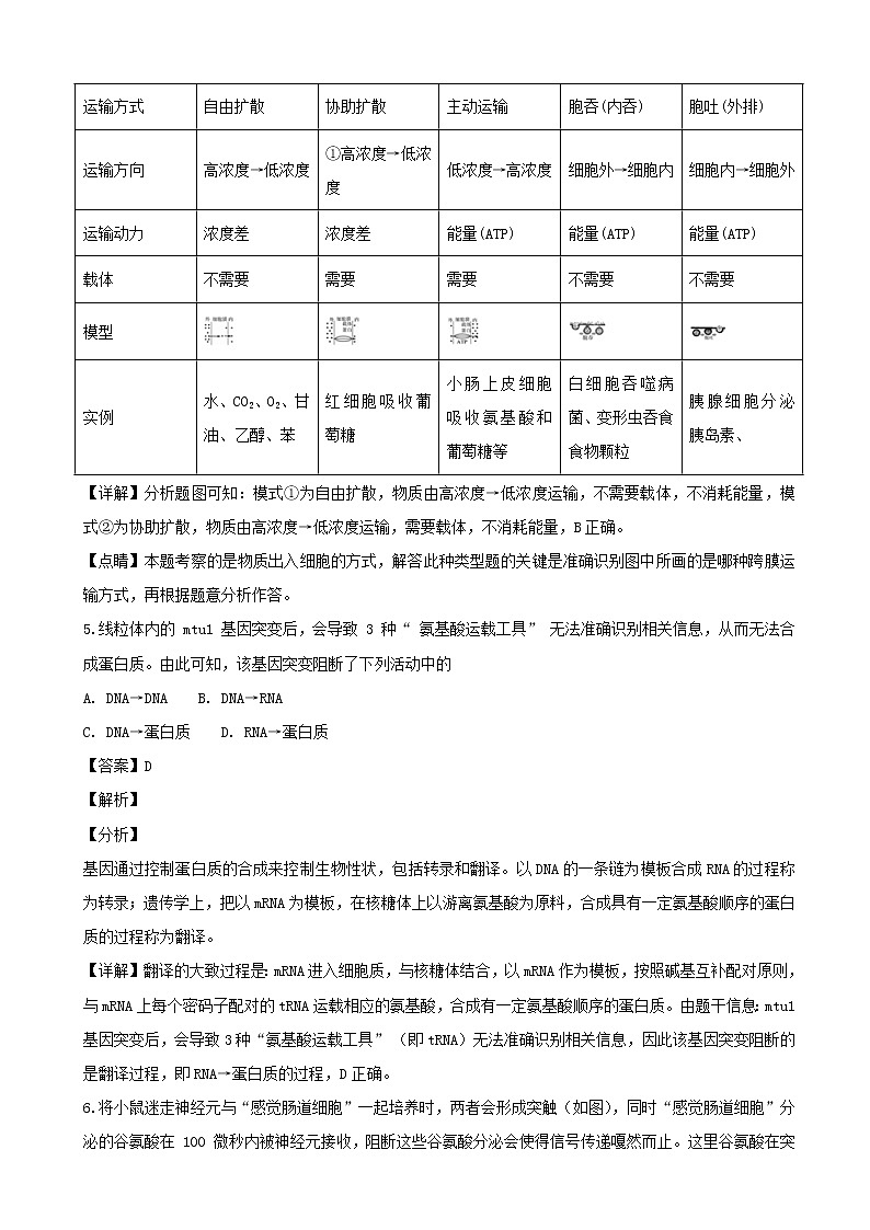 2019届上海市崇明区高三上学期等级考第一次模拟生物试题（解析版）03