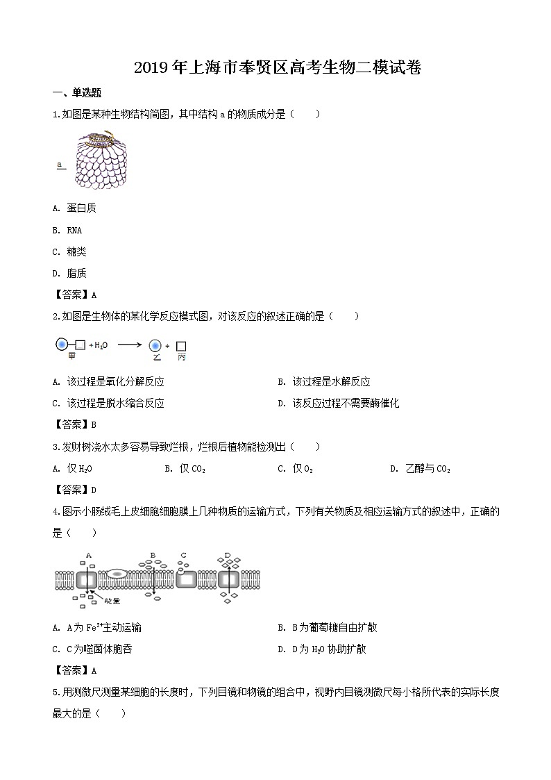 2019届上海市奉贤区高三下学期二模生物试题（word版）01