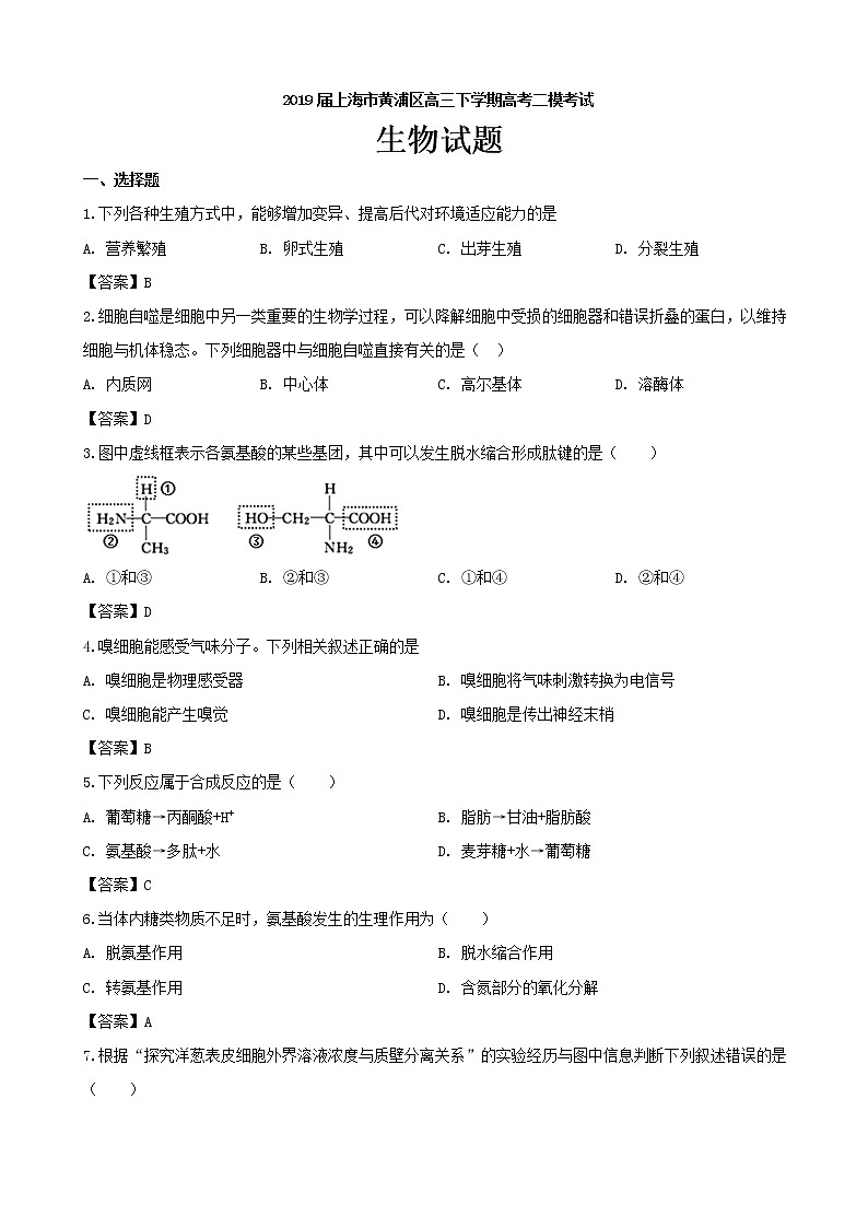 2019届上海市黄浦区高三下学期高考二模考试生物试题（PDF版）第1页
