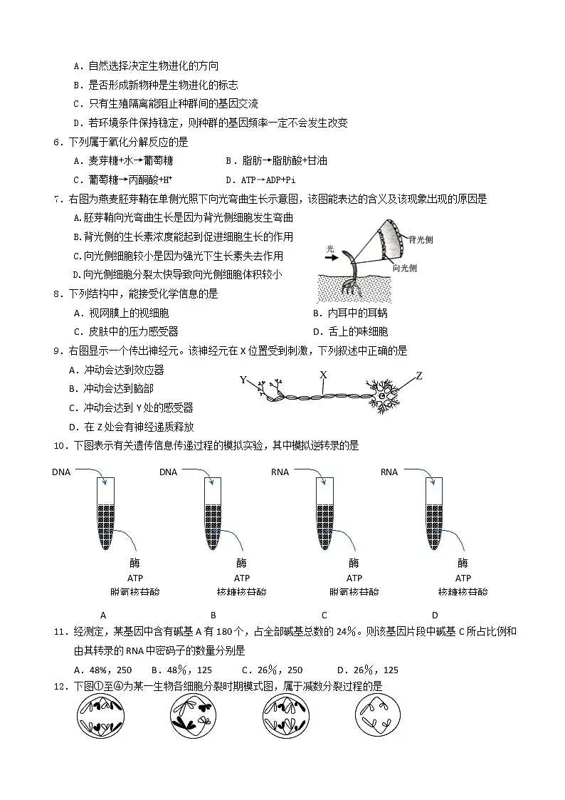 2019届上海市嘉定区高三上学期第一次质量调研生命科学试卷第2页