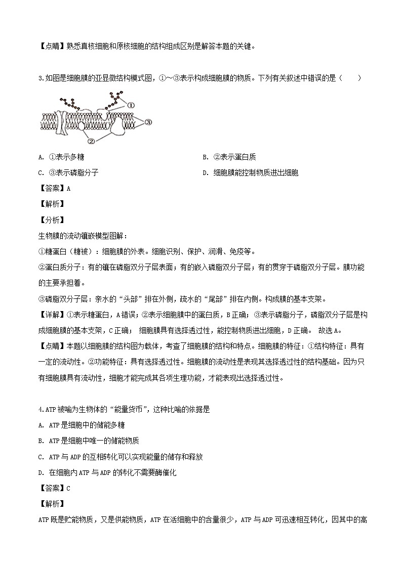 2019届上海市普陀区高三下学期二模生物试题（解析版）02
