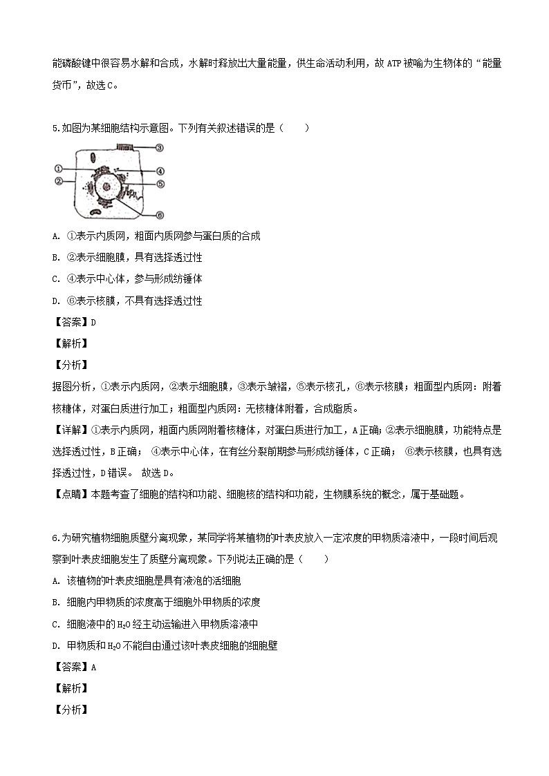 2019届上海市普陀区高三下学期二模生物试题（解析版）03