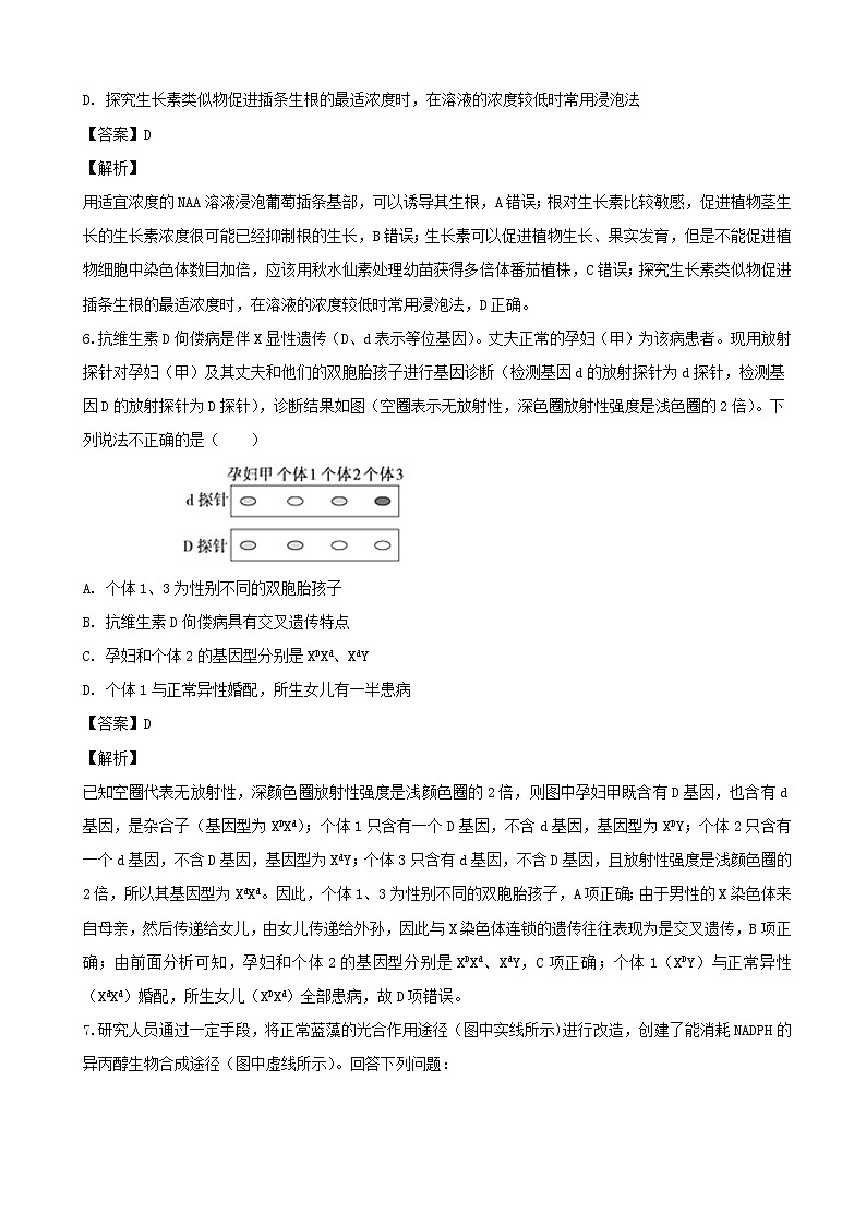2019届四川省成都市棠湖中学高三二诊模拟理综-生物试题（解析版）第3页