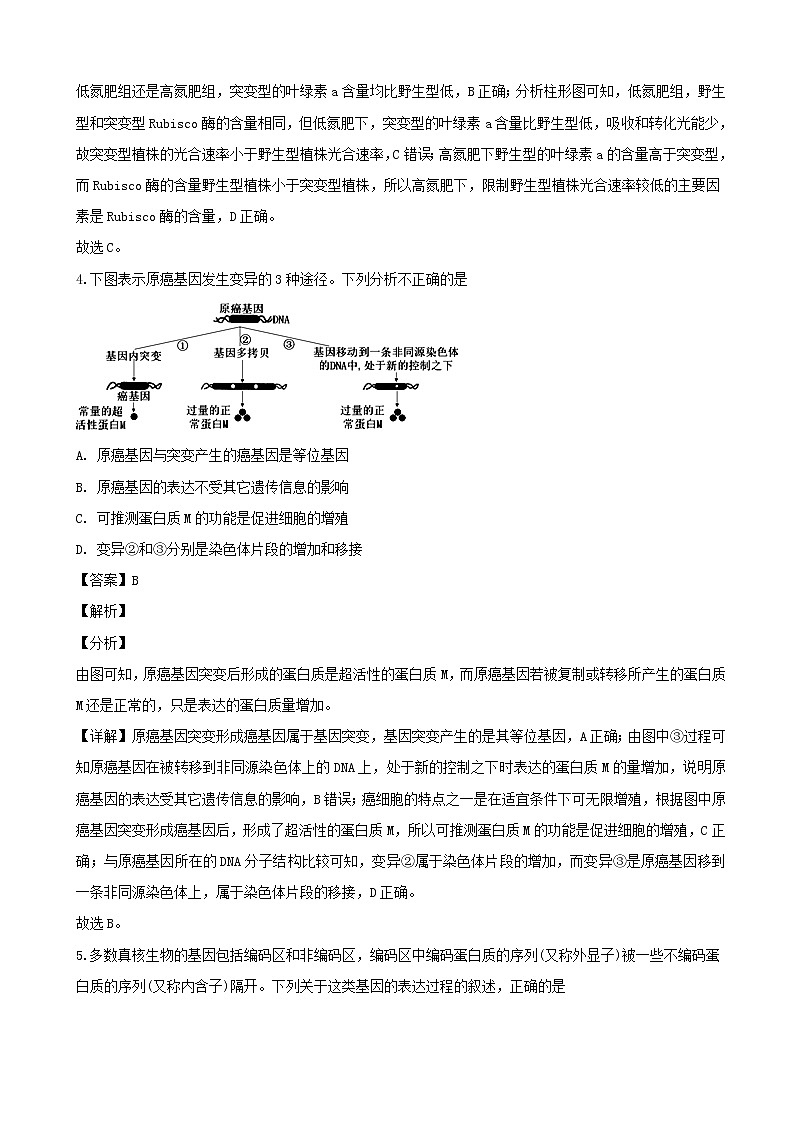 2019届四川省达州市高三第一次诊断性测试理科综合生物试题（解析版）03