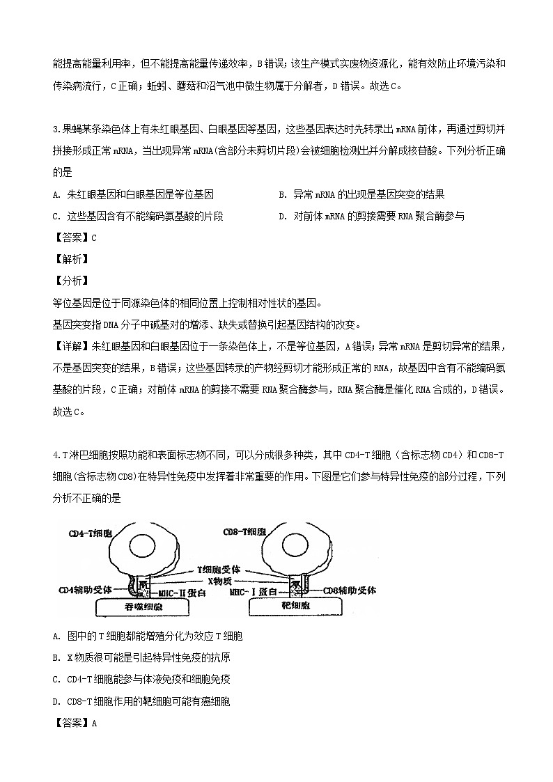 2019届四川省达州市高三二诊考试生物试题（解析版）02