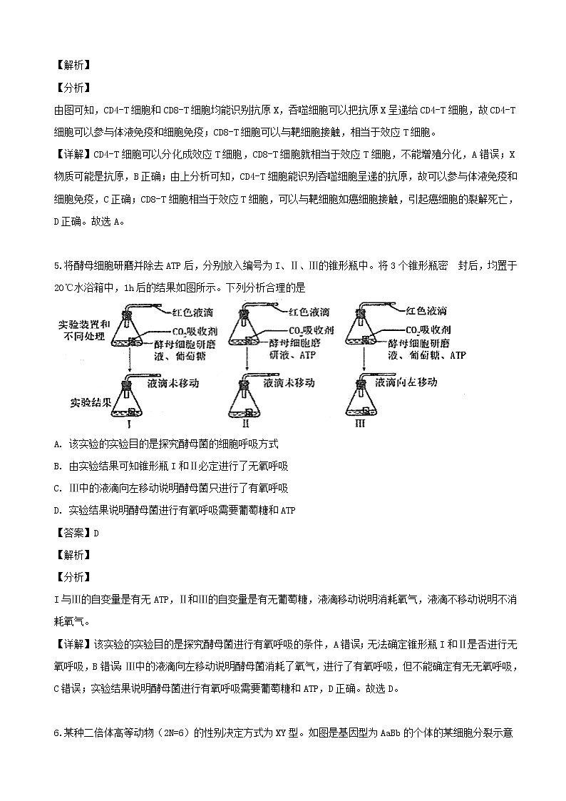 2019届四川省达州市高三二诊考试生物试题（解析版）03