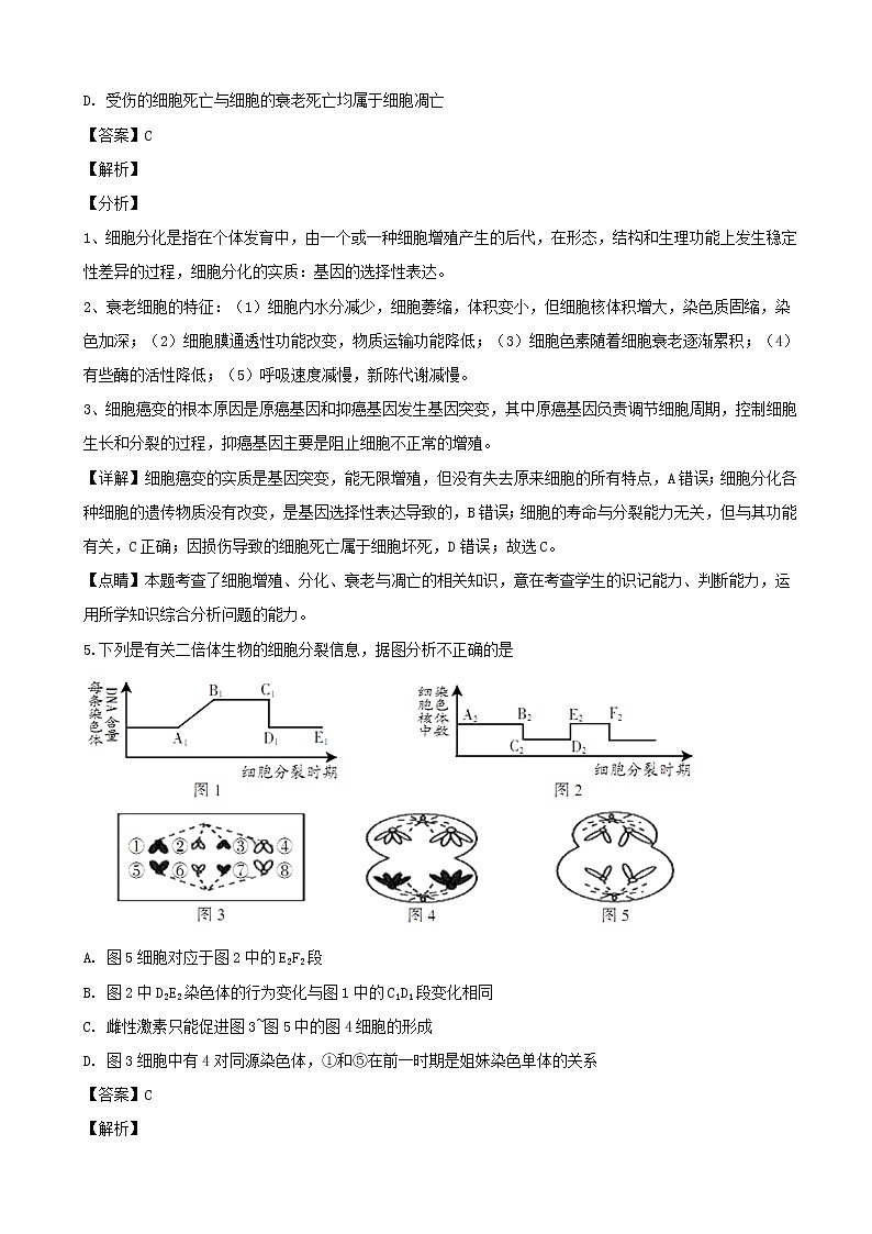 2019届四川省广元市高三上学期第一次高考适应性统考理科综合生物试题（解析版）03