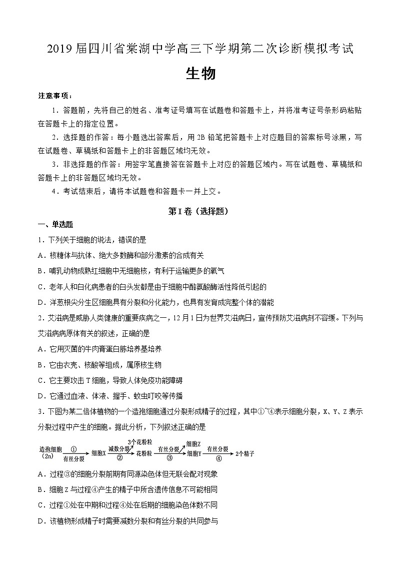 2019届四川省棠湖中学高三第二次诊断模拟考试生物试卷（解析版）01