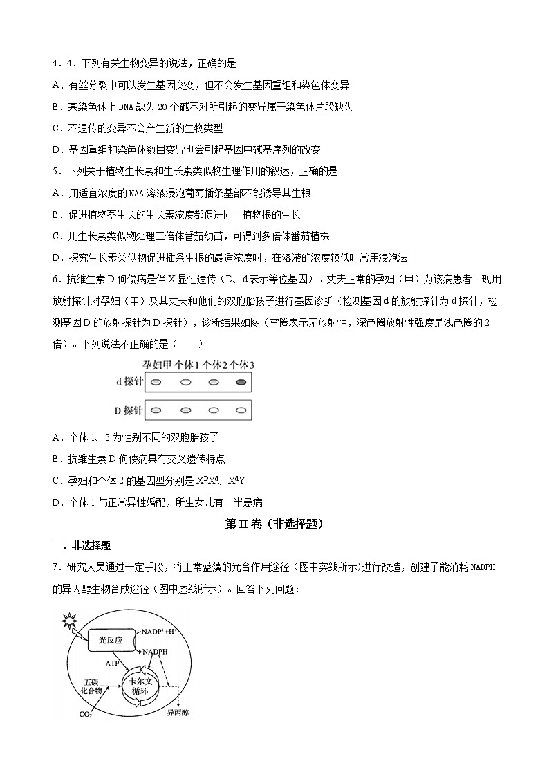 2019届四川省棠湖中学高三第二次诊断模拟考试生物试卷（解析版）02