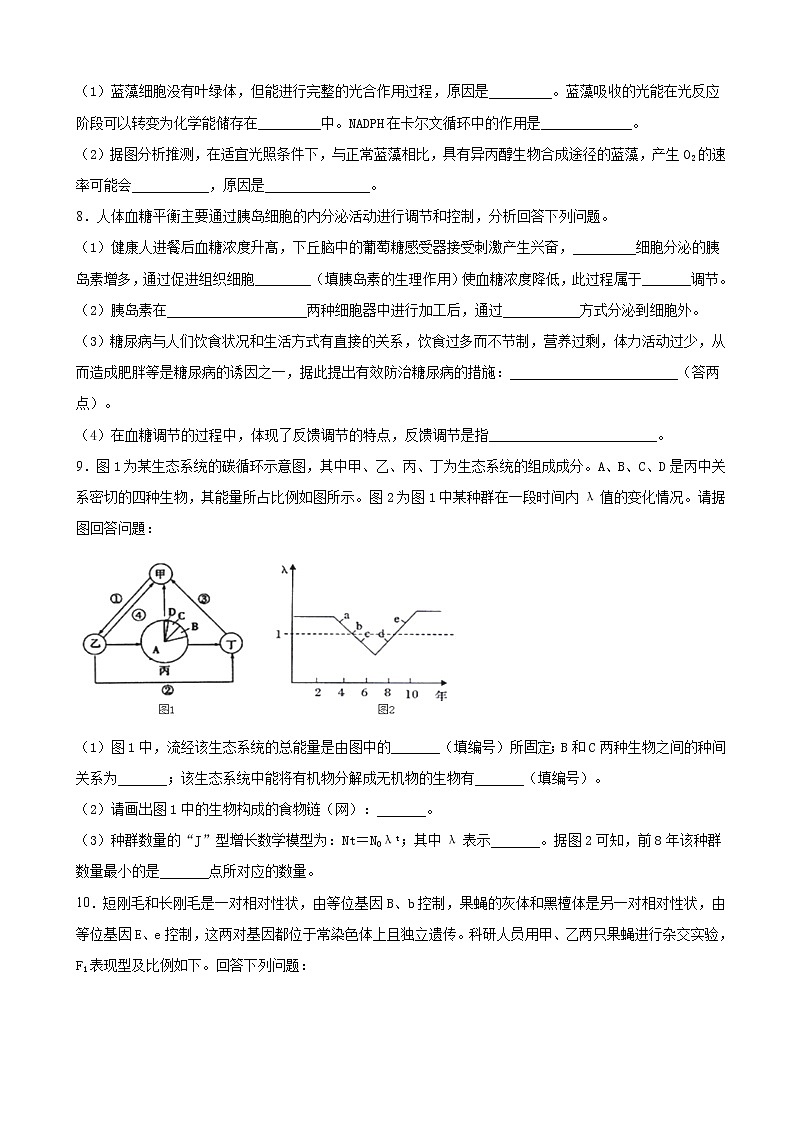 2019届四川省棠湖中学高三第二次诊断模拟考试生物试卷（解析版）03