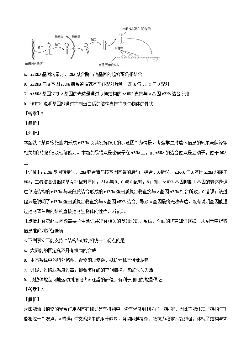 2019届四川省宜宾市叙州区第一中学高三二诊模拟考试理综-生物试题（解析版）02