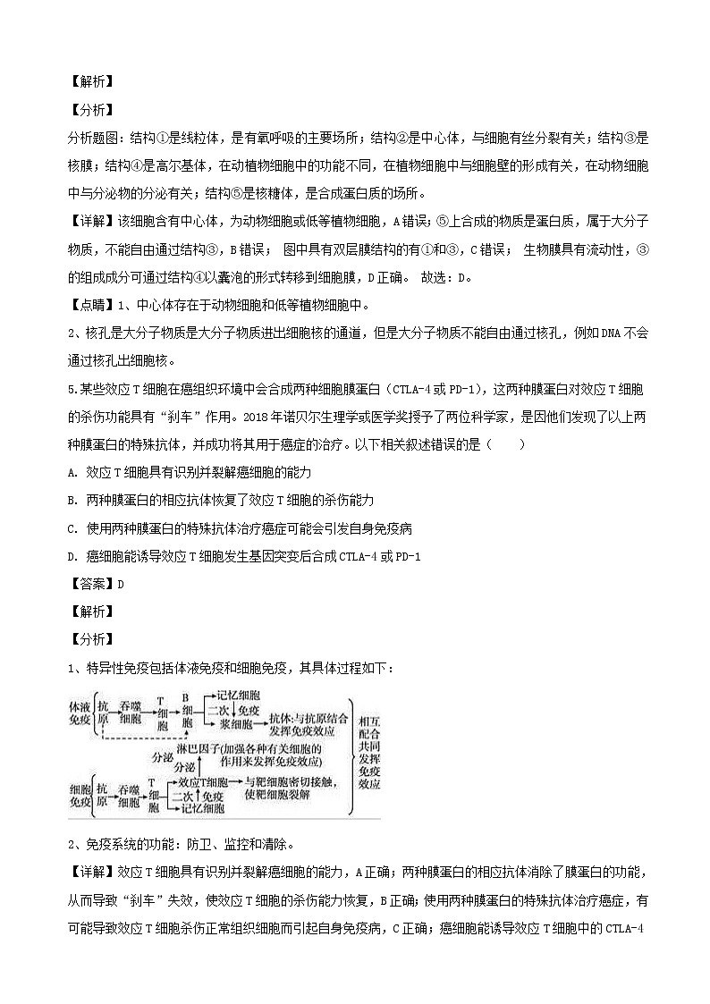 2019届四川省自贡市高三一模考试生物试题（解析版）03