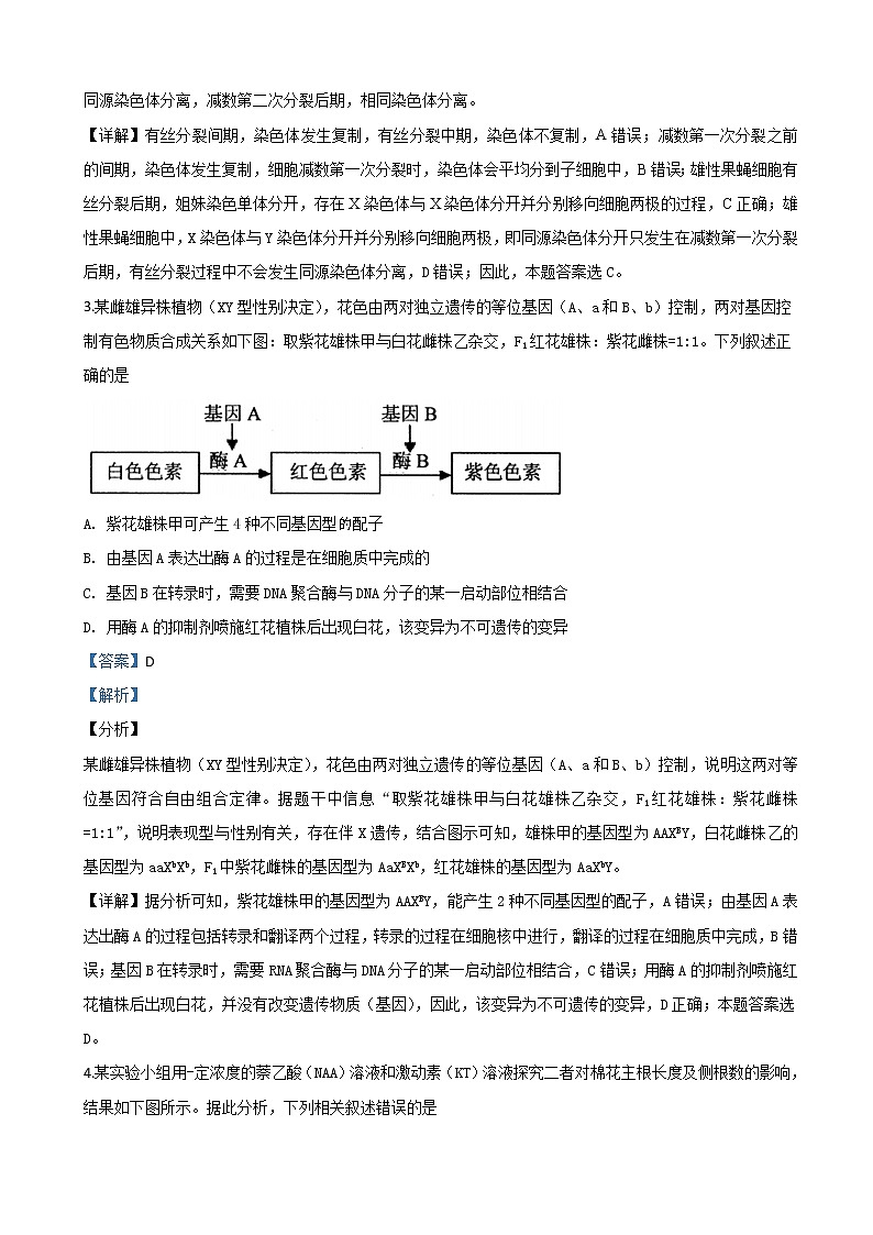 2019届天津市河北省区高三下学期二模考试生物试题（解析版）02