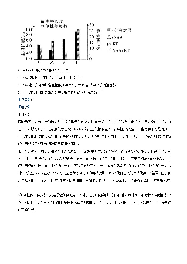 2019届天津市河北省区高三下学期二模考试生物试题（解析版）03