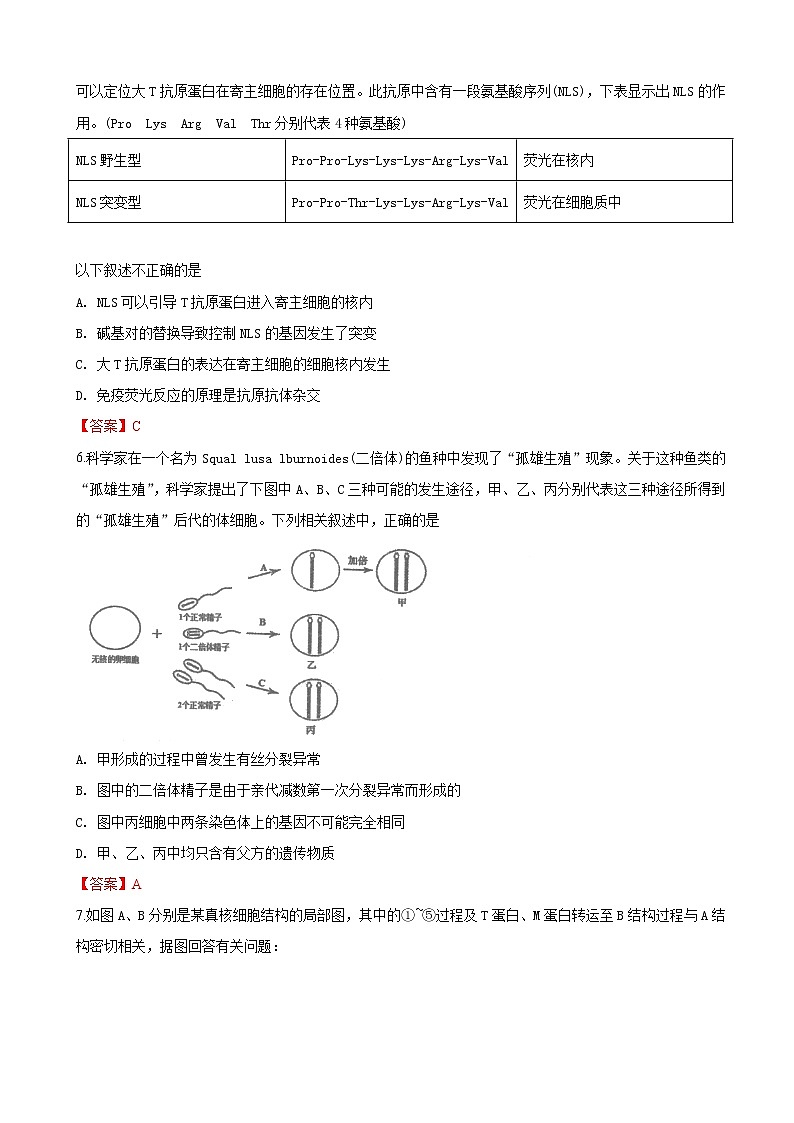 2019届天津市河东区高三高考一模考试生物试卷（word版）02
