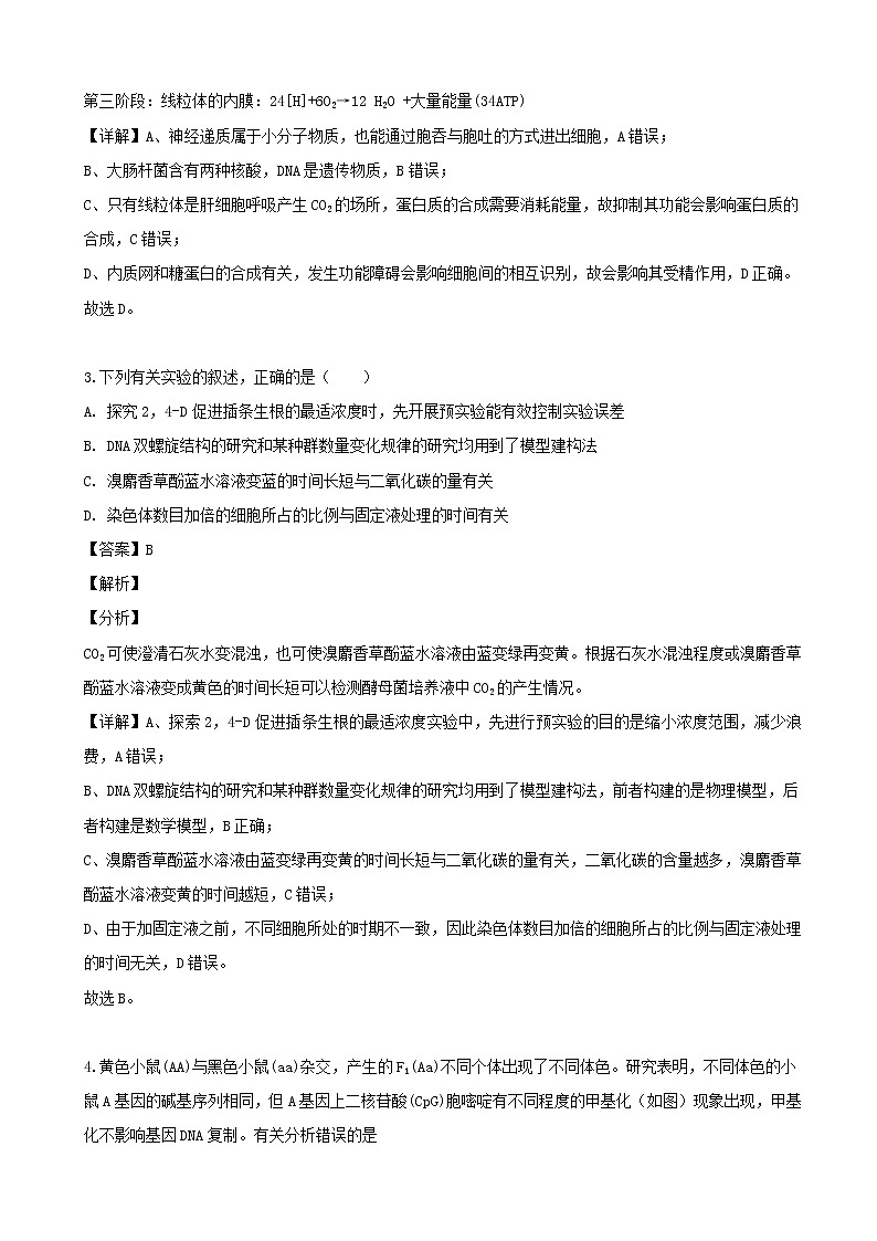 2019届辽宁省沈阳市东北育才学校高三下学期第八次高考模拟考试理科综合生物试题（解析版）第2页