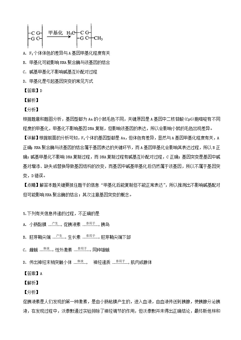 2019届辽宁省沈阳市东北育才学校高三下学期第八次高考模拟考试理科综合生物试题（解析版）第3页